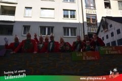 Wuerzburger-Faschingszug-035