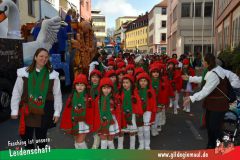 Wuerzburger-Faschingszug-036