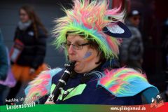 Wuerzburger-Faschingszug-045