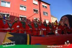 Wuerzburger-Faschingszug-048