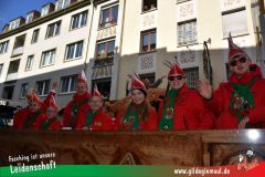Wuerzburger-Faschingszug-049