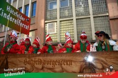 Wuerzburger-Faschingszug-050