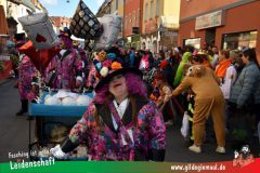 Wuerzburger-Faschingszug-052