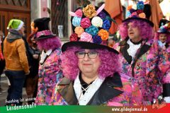 Wuerzburger-Faschingszug-053