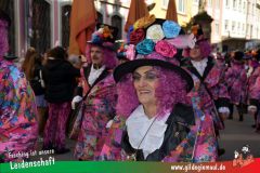 Wuerzburger-Faschingszug-054