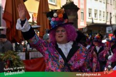 Wuerzburger-Faschingszug-055