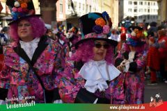 Wuerzburger-Faschingszug-056