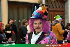 Wuerzburger-Faschingszug-057