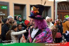Wuerzburger-Faschingszug-058