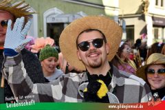 Wuerzburger-Faschingszug-059