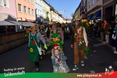Wuerzburger-Faschingszug-060