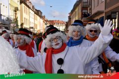 Wuerzburger-Faschingszug-062