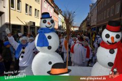 Wuerzburger-Faschingszug-063