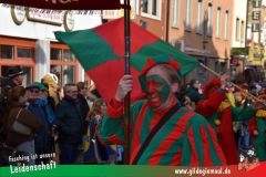 Wuerzburger-Faschingszug-067
