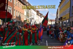 Wuerzburger-Faschingszug-068