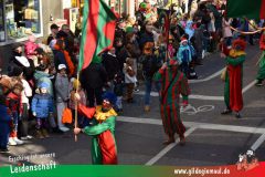 Wuerzburger-Faschingszug-069