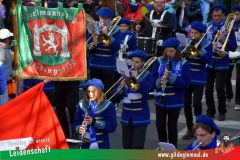 Wuerzburger-Faschingszug-074