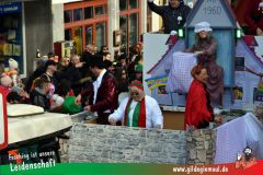Wuerzburger-Faschingszug-078