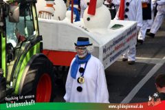Wuerzburger-Faschingszug-082