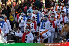 Wuerzburger-Faschingszug-083