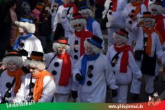 Wuerzburger-Faschingszug-084