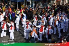 Wuerzburger-Faschingszug-085