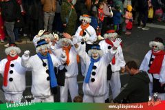 Wuerzburger-Faschingszug-086