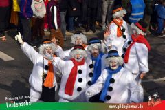 Wuerzburger-Faschingszug-087