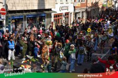 Wuerzburger-Faschingszug-090