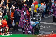 Wuerzburger-Faschingszug-093