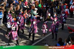 Wuerzburger-Faschingszug-096