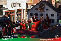 Wuerzburger-Faschingszug-106