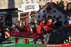 Wuerzburger-Faschingszug-107
