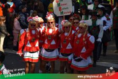 Wuerzburger-Faschingszug-119