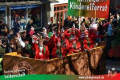 Wuerzburger-Faschingszug-122