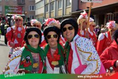 Wuerzburger-Faschingszug-131
