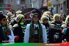 Wuerzburger-Faschingszug-134