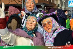Wuerzburger-Faschingszug-136