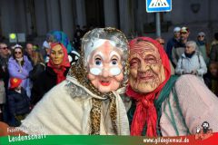 Wuerzburger-Faschingszug-139