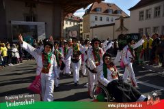 Wuerzburger-Faschingszug-143