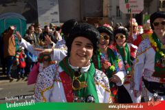 Wuerzburger-Faschingszug-144