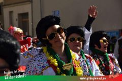 Wuerzburger-Faschingszug-145