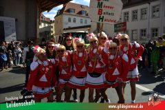 Wuerzburger-Faschingszug-148