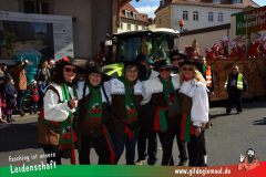 Wuerzburger-Faschingszug-149