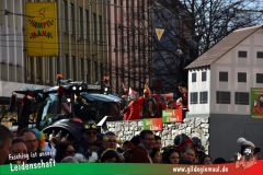 Wuerzburger-Faschingszug-163