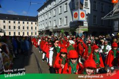 Wuerzburger-Faschingszug-165