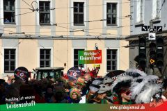 Wuerzburger-Faschingszug-167