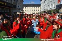 Wuerzburger-Faschingszug-170