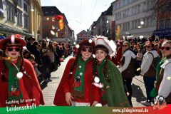 Wuerzburger-Faschingszug-177