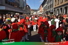Wuerzburger-Faschingszug-181